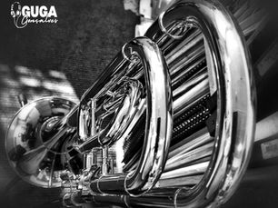 instrumentos de madeira; instrumentos de metais. 