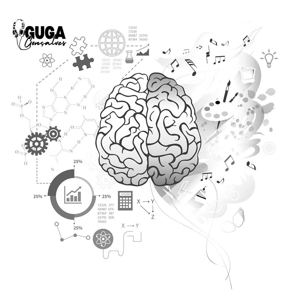 foto ilustrativa de um cérebro