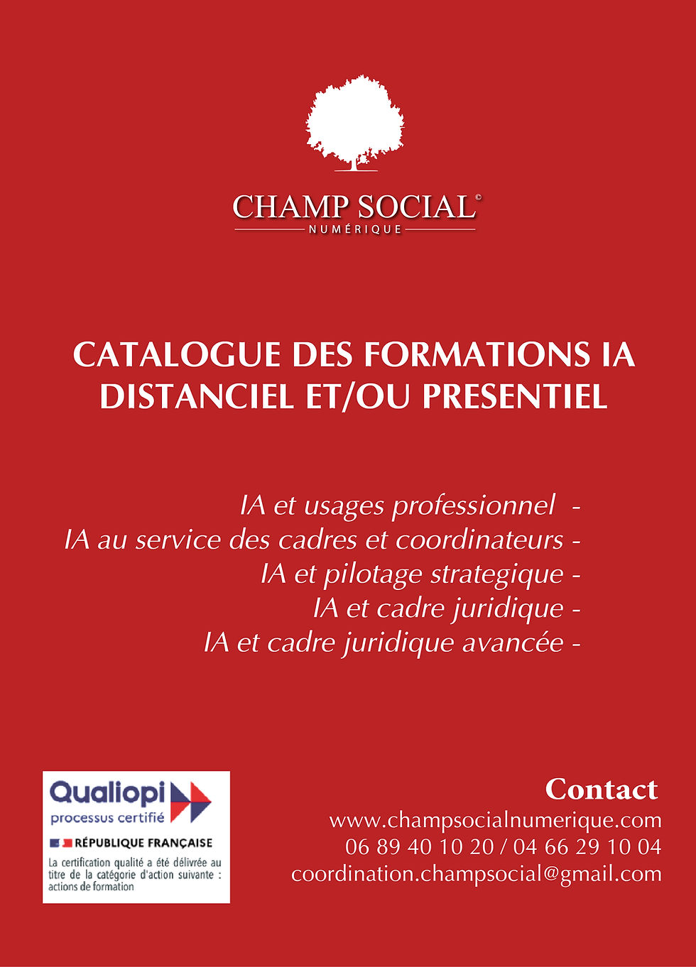 formations_ia_v5_Plan de travail 1