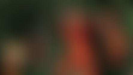 The Incredibles: An extremely smart and action-packed animated film.