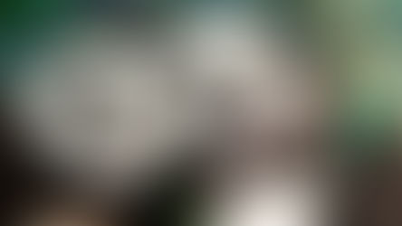 Kung Fu Panda 3: A very epic and satisfying conclusion.