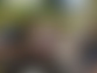 Microgreens Visit a Food Forest