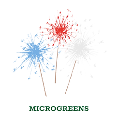 sparkler (1).png