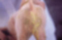 coccidiosis-piglet-diarrhea-1608