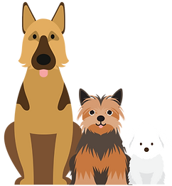 Three animated dogs