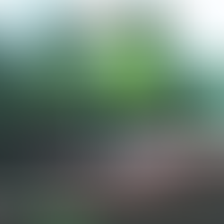 Take CHARGE of the Classroom #1: Introduction