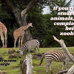 Take CHARGE of the Classroom #8: Respect