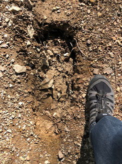 Hot Springs, Arkansas: Thermal springs and Bigfoot!