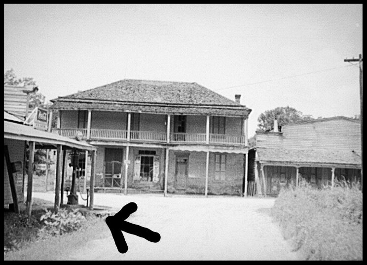 Alston Store