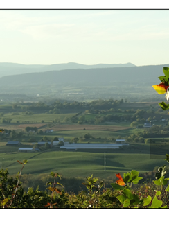 "Oh, it's an easy hike..."