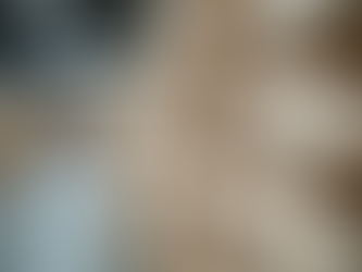 Top Exporters of Premium Basmati and Long Grain Rice to Global Markets