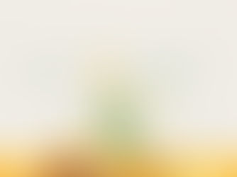 OMSWASTIK EXPORTS LLP: India’s Leading Global Rice Exporter. Long grain white rice CIF NEW YORK.