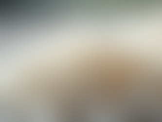 Leading IR64 Rice Suppliers & Exporters India: Your Guide to Quality Parboiled Rice