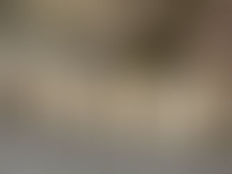 OMSWASTIK EXPORTS LLP – Global exporter of premium 1121 Basmati rice, non-basmati rice, ICUMSA 45 sugar, Indian spices, fresh fruits, and vegetables, supplying importers across Africa, Europe, the Americas, the Middle East, Asia, and the Pacific.