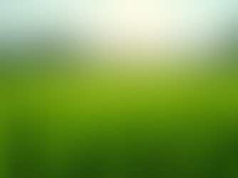 Online Certified Organic Indian Rice Exporters: Your Gateway to Premium Quality