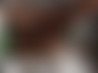 Privatsphäre durch Sichtschutzfolien: Sichtschutzfolierung – Privatsphäre und Design vereint