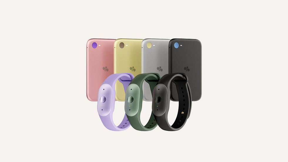 Amazon Launches Two Portable AI Listening Devices Under Bee