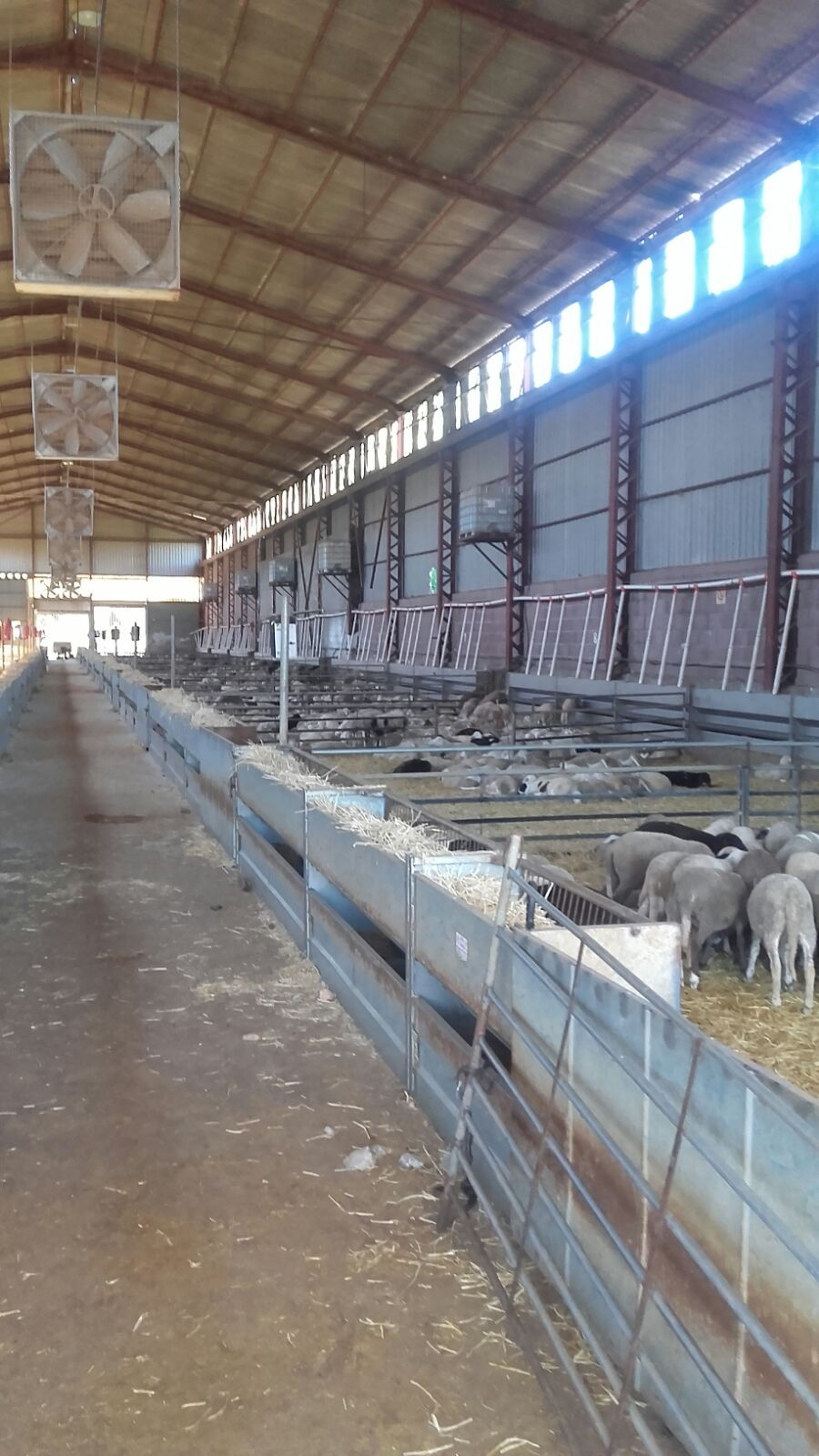GANADOS GENOVÉS INSTALACIONES