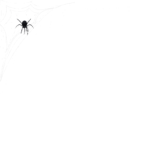 Spider_01.gif
