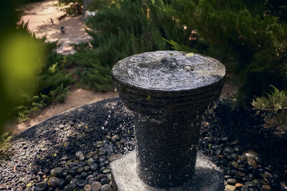 park fountain