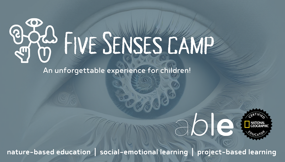 Five Senses Camps 2025 - 2.png