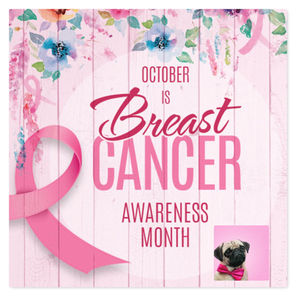The Big Pink- Breast Cancer Care