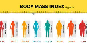 Decoding Body Mass Index Categories