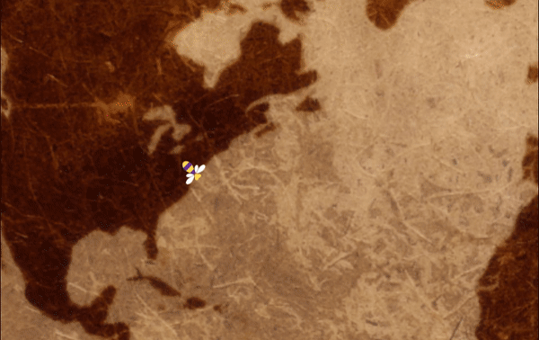 ezgif.com-video-to-gif (7).gif