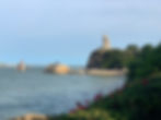 statue overlooking the ocean surrounded by greenery