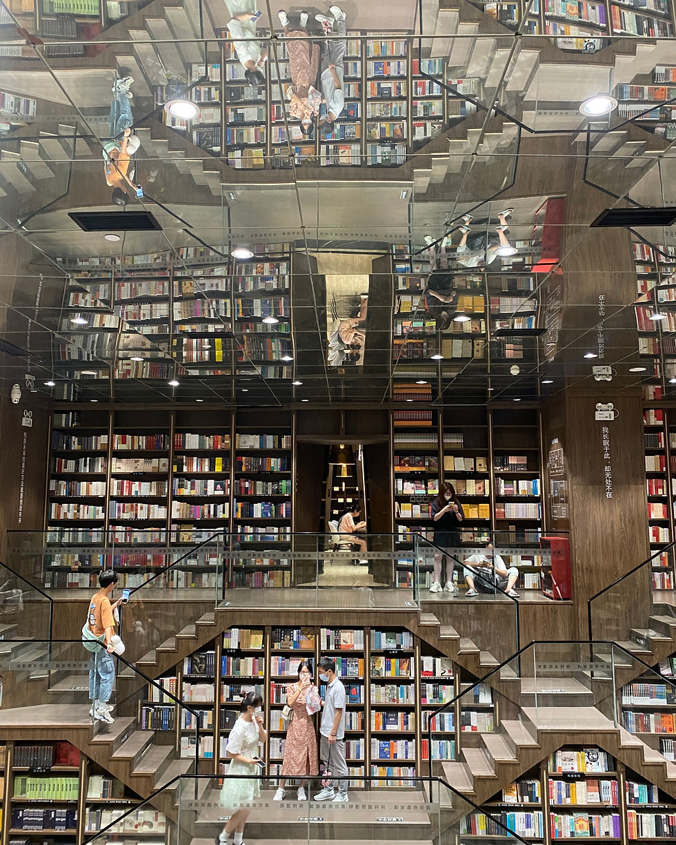 futuristic symmetrical shelves of books