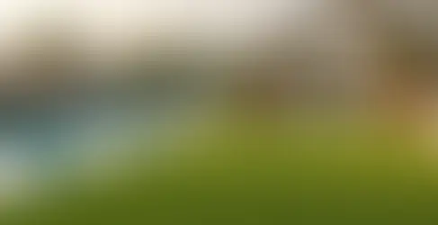 Artificial Turf Lawn Prices in Dubai: What Homeowners Should Know