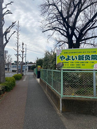 IMG_0386.jpeg