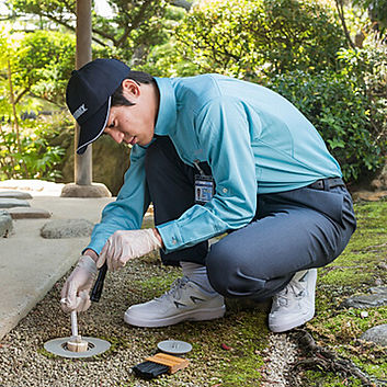 庭でシロアリ駆除