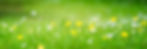istockphoto-696411414-612x612.jpg