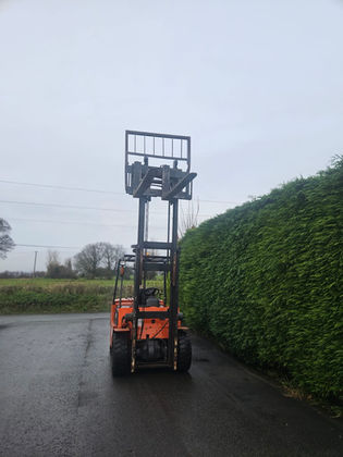 Dalion 4 Ton Diesel forklift 