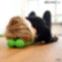 physical-therapy-spine-rehab.jpeg