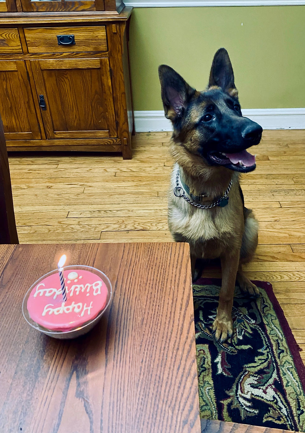 1st birthday