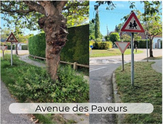 Le travail de la BAC au quotidien - Avenue des Paveurs