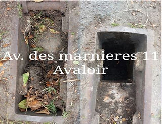 Le travail de la BAC au quotidien - Avenue des Marnières