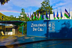 zoo-cali-web.jpg