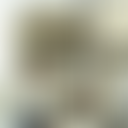 【お知らせ】10月20日(火) 発売「天然生活」2026年12月号(扶桑社)に登場!!