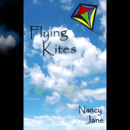 FLYING.gif