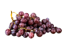 Untitled design (49).png