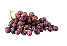 Untitled design (49).png