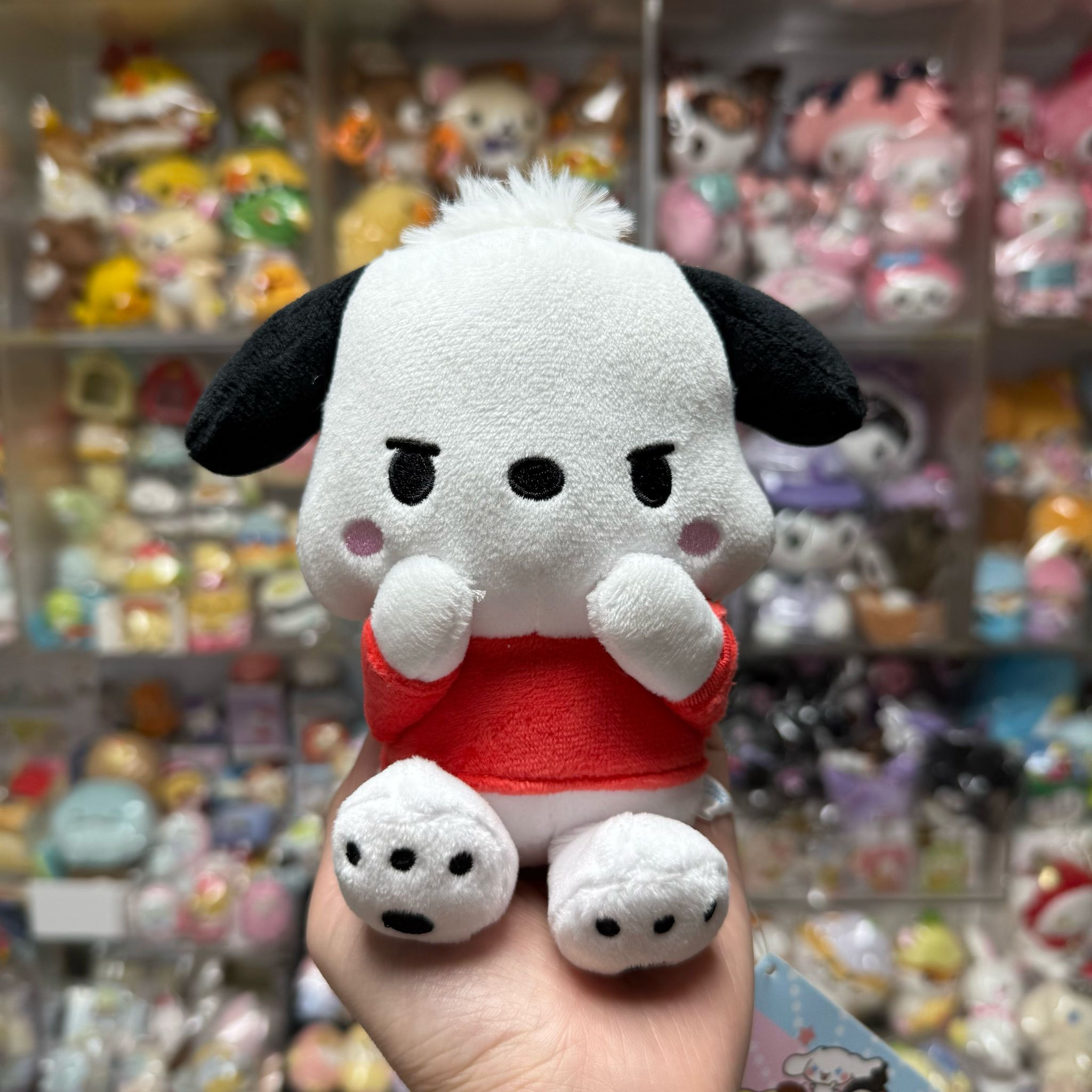 Sanrio Characters Pochacco PC狗 嬲嬲樣 中Size景品公仔