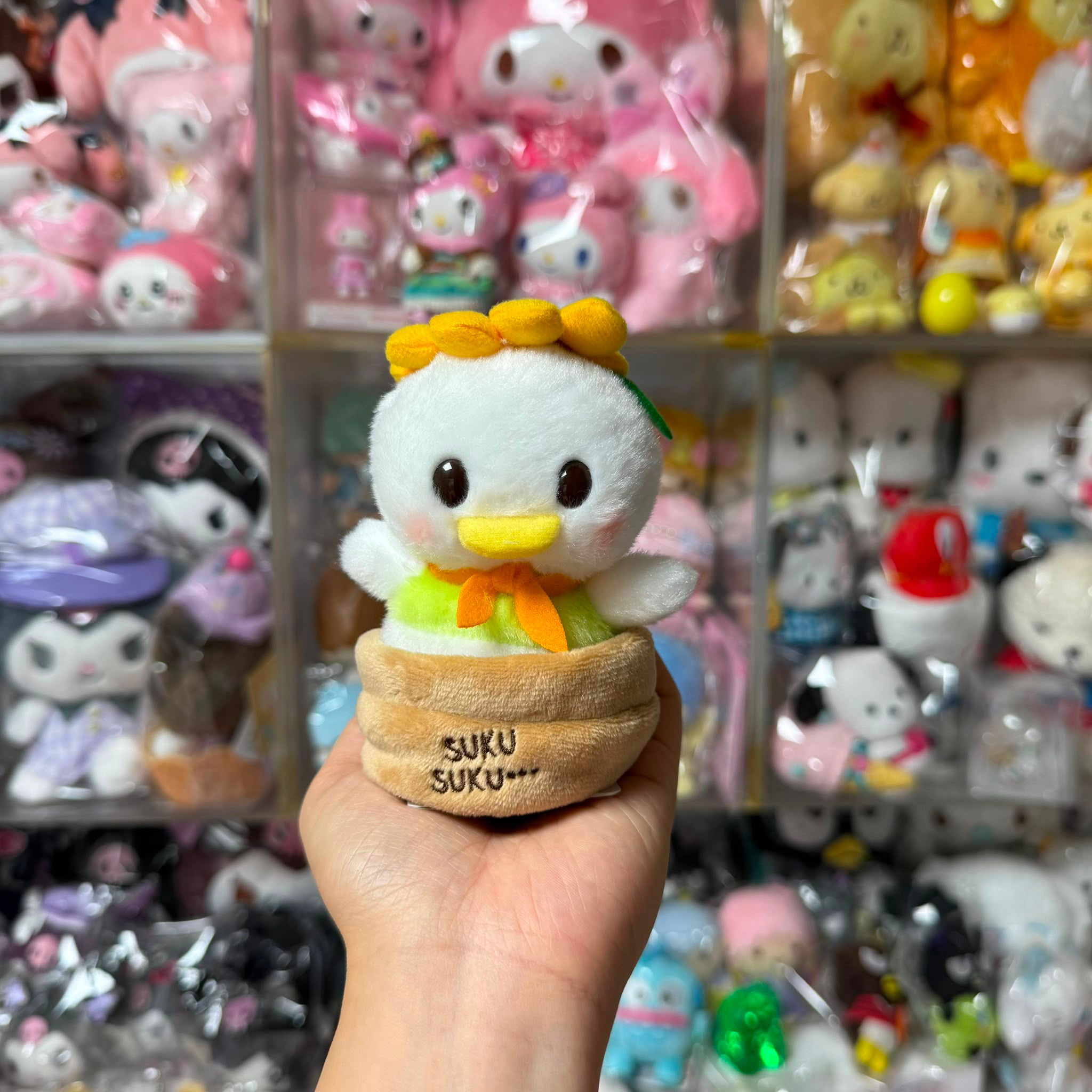 日版 DISNEY 豆豉眼 豆豆系列 Donald Duck 唐老鴨 春季2026 花盆栽造型 擺設 公仔