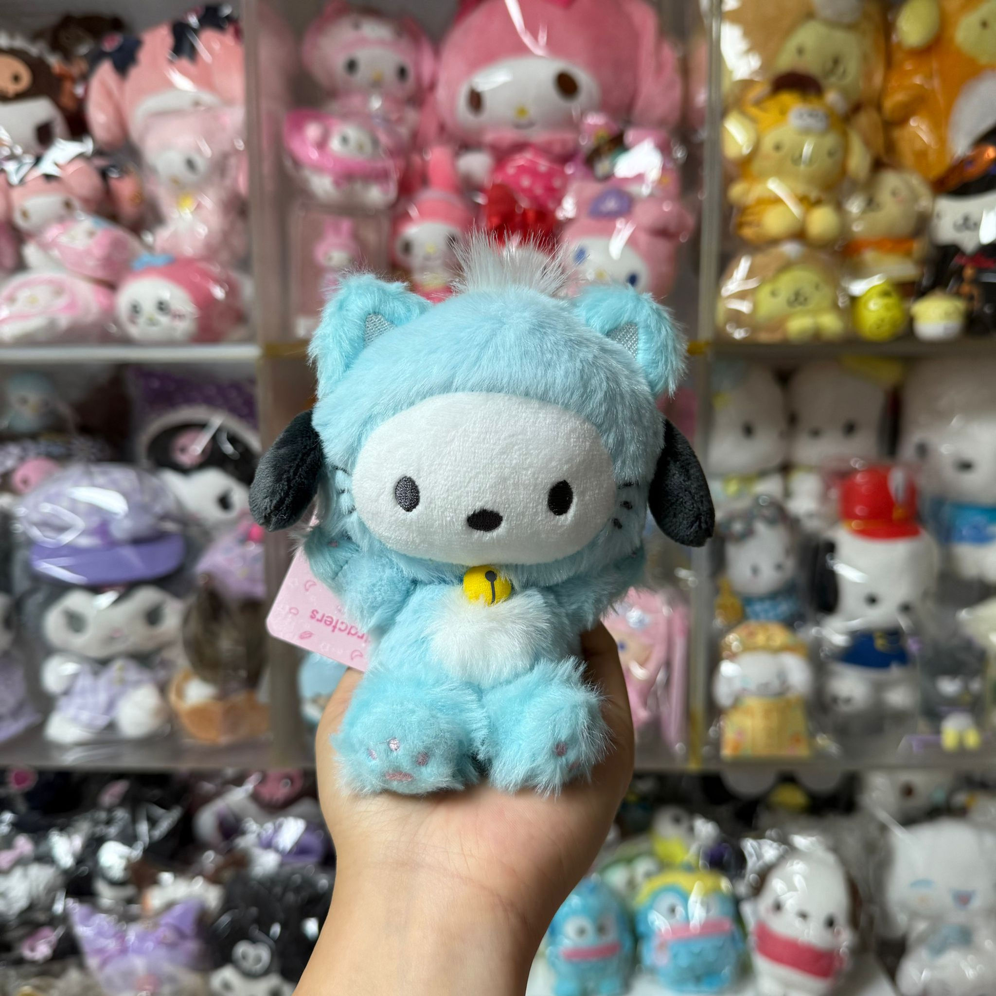 日版 Sanrio 扮貓咪系列 中Size 公仔擺設 - Pochacco PC狗