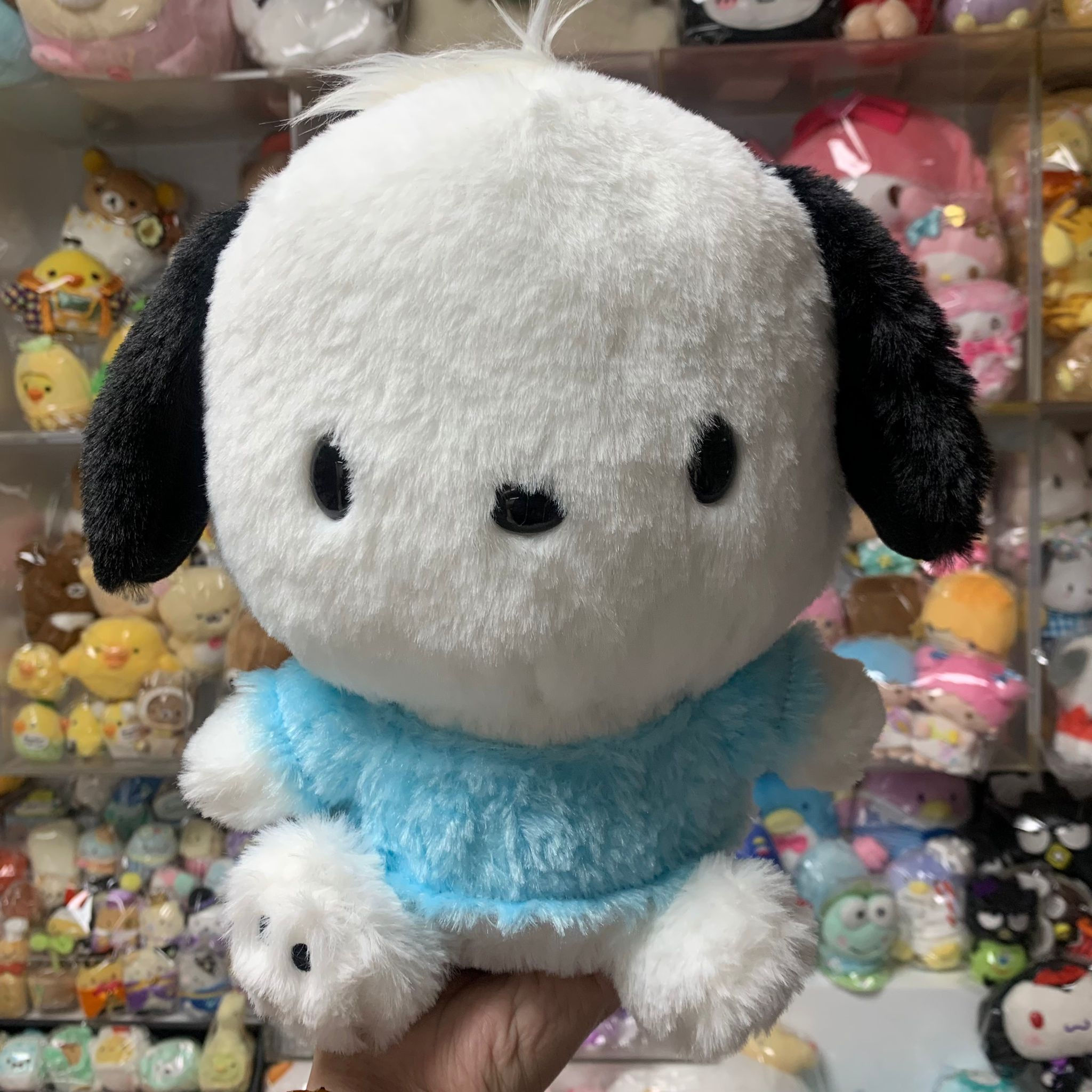 Sanrio Pochacco PC狗 滑毛 大Size 公仔 擺設