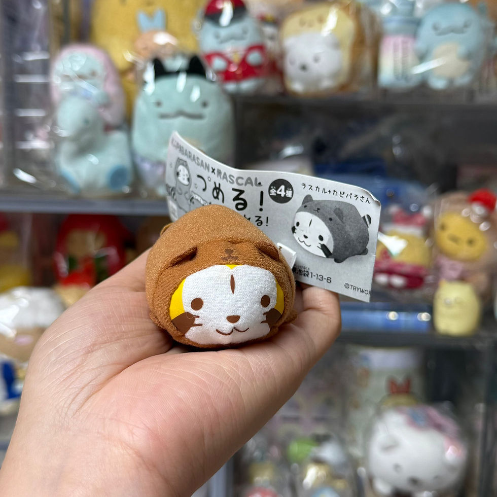 縮圖：Rascal 小浣熊 x Kapibarasan 水豚君 聯乘系列 扭蛋公仔(啡色) (TsumTsum造型)