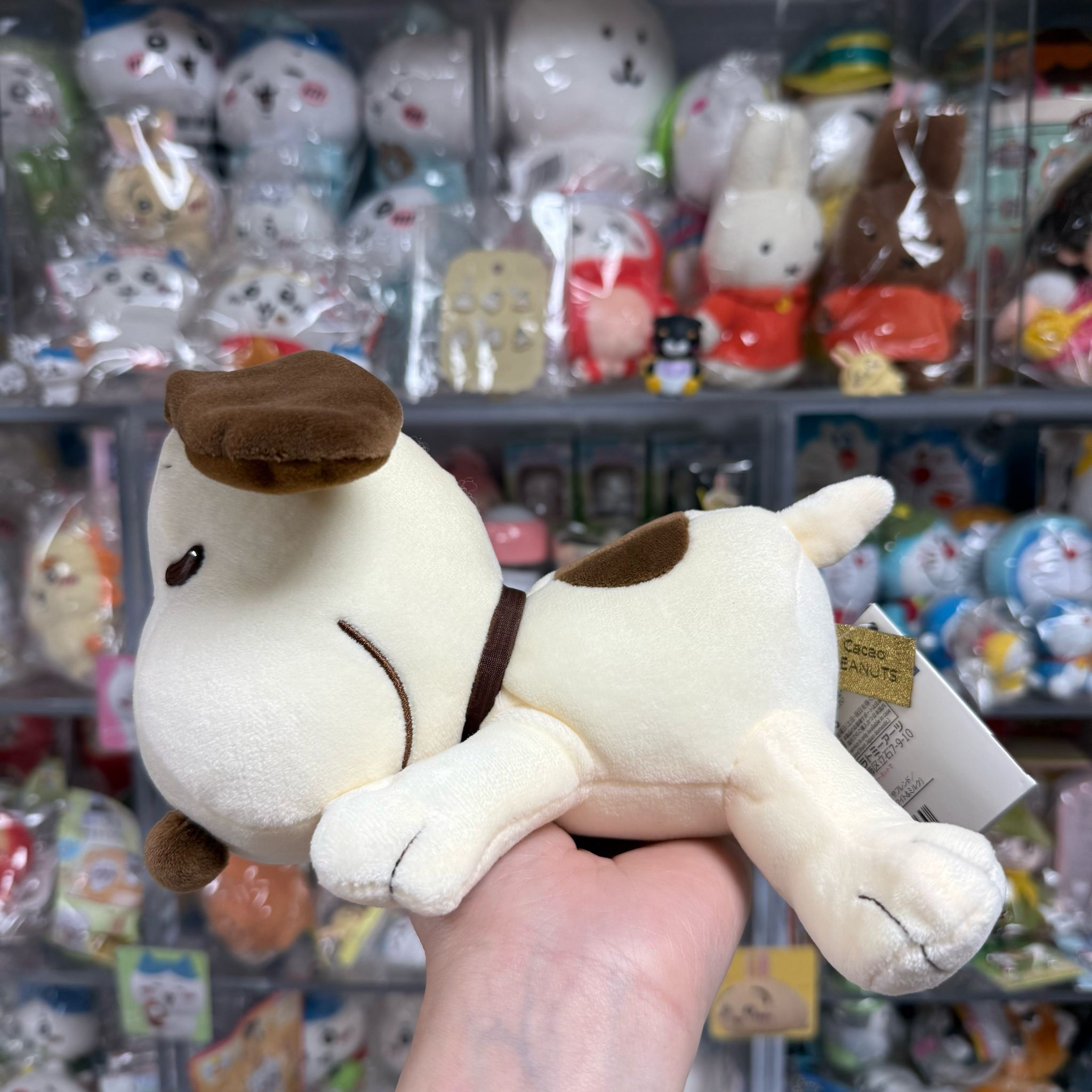 Snoopy 史努比 Cacao Peanuts 可可花生 Mocchi 側身趴地 中公仔擺設 - Snoopy 史努比